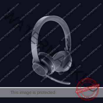 Expansion Microphone